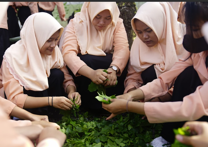 https://mail.smkn3banjarmasin.sch.id/images/noimage.jpg